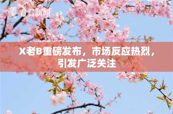 X老B重磅发布，市场反应热烈，引发广泛关注