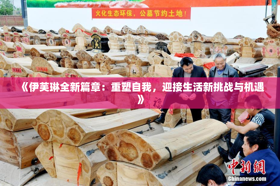 《伊芙琳全新篇章：重塑自我，迎接生活新挑战与机遇》