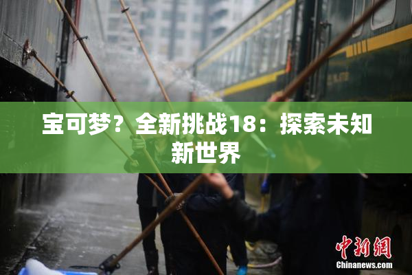 宝可梦？全新挑战18：探索未知新世界