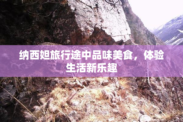 纳西妲旅行途中品味美食，体验生活新乐趣