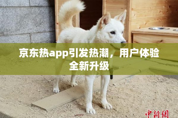 京东热app引发热潮，用户体验全新升级