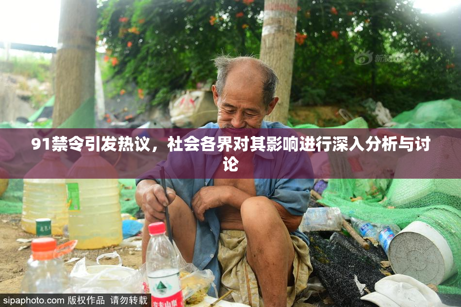 91禁令引发热议，社会各界对其影响进行深入分析与讨论