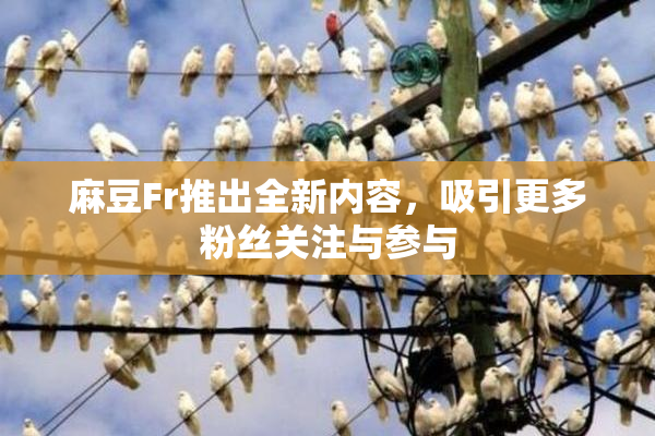 麻豆Fr推出全新内容，吸引更多粉丝关注与参与