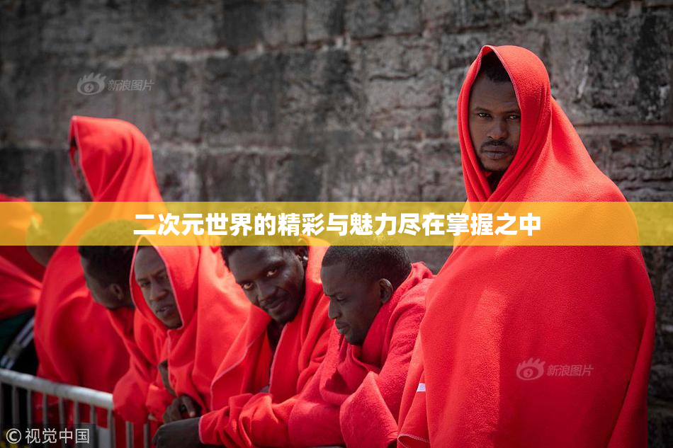 二次元世界的精彩与魅力尽在掌握之中