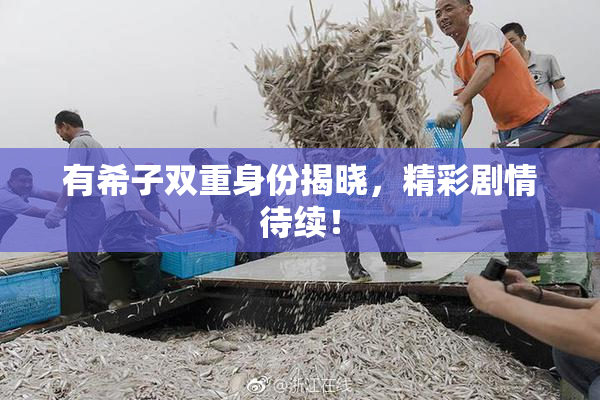 有希子双重身份揭晓，精彩剧情待续！
