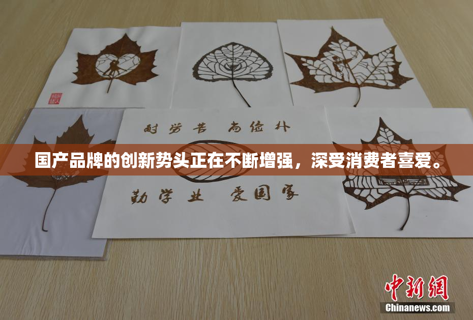 国产品牌的创新势头正在不断增强，深受消费者喜爱。