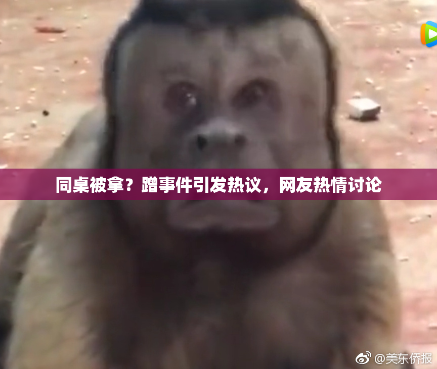 同桌被拿？蹭事件引发热议，网友热情讨论