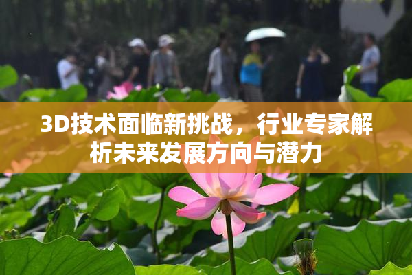 3D技术面临新挑战，行业专家解析未来发展方向与潜力