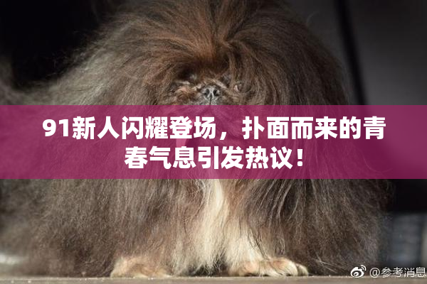 91新人闪耀登场，扑面而来的青春气息引发热议！