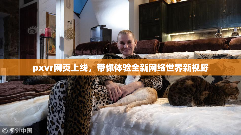 pxvr网页上线，带你体验全新网络世界新视野
