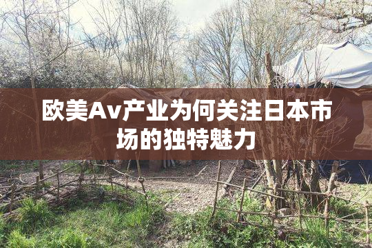 欧美Av产业为何关注日本市场的独特魅力