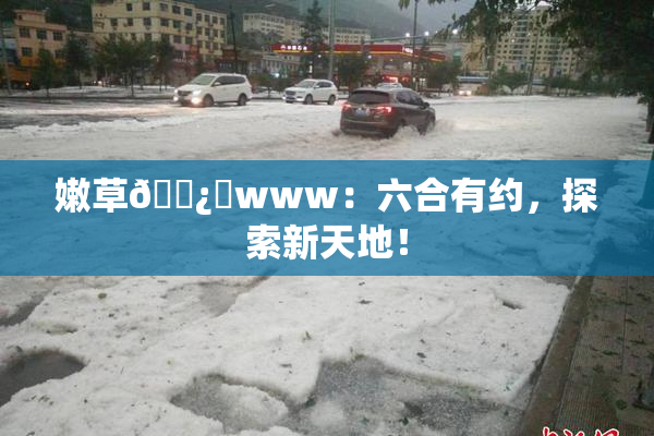 嫩草🌿‌www：六合有约，探索新天地！