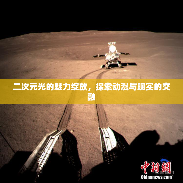 二次元光的魅力绽放，探索动漫与现实的交融