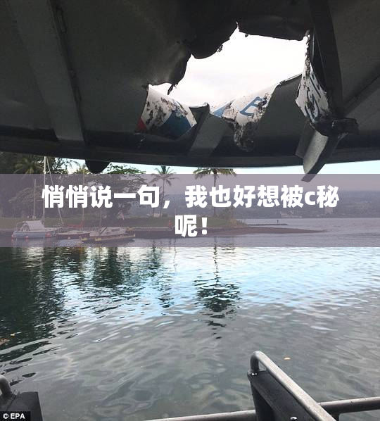 悄悄说一句，我也好想被c秘呢！