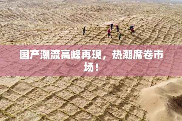 国产潮流高峰再现，热潮席卷市场！