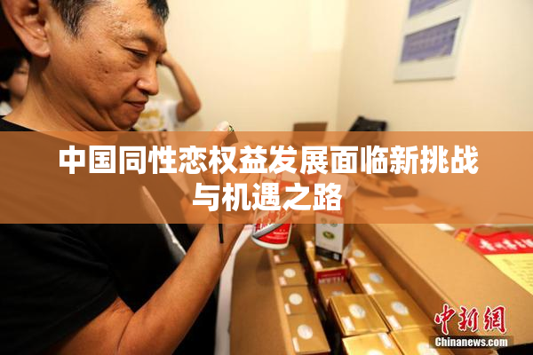 中国同性恋权益发展面临新挑战与机遇之路