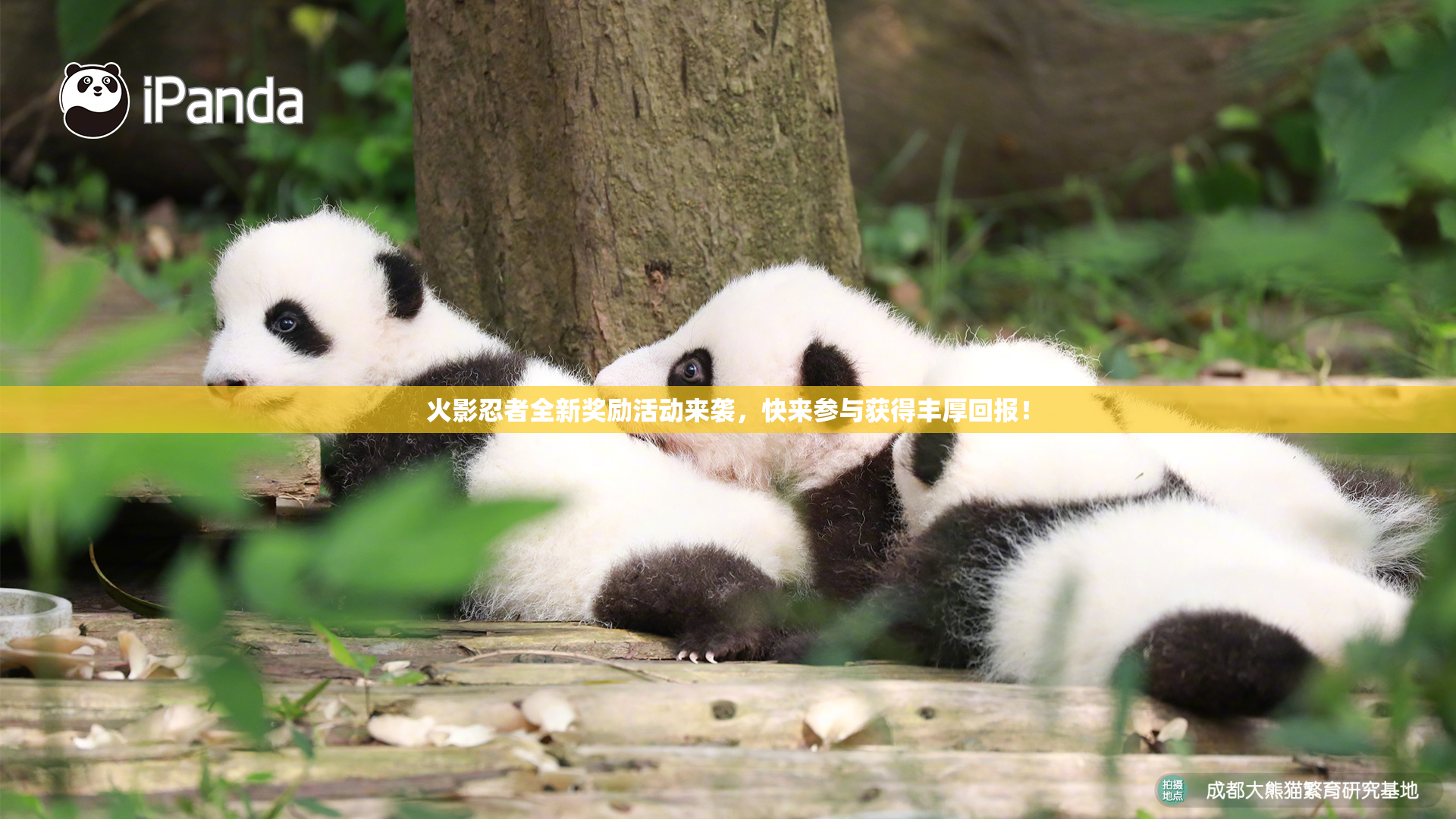 火影忍者全新奖励活动来袭，快来参与获得丰厚回报！
