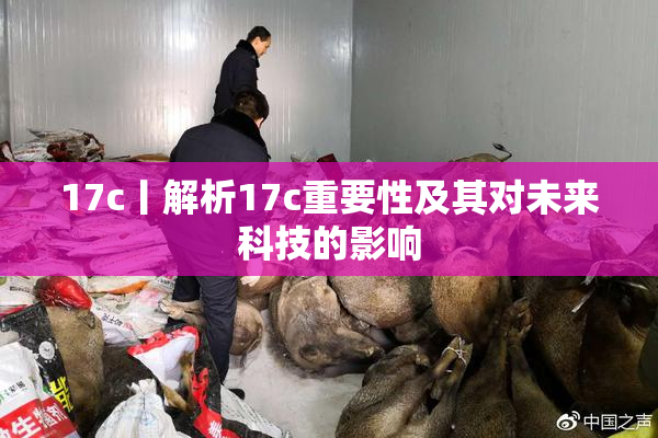 17c丨解析17c重要性及其对未来科技的影响