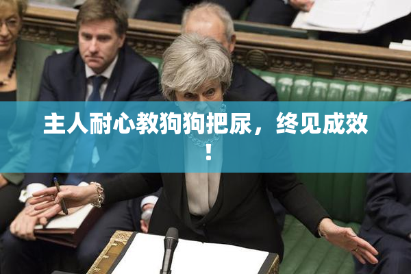 主人耐心教狗狗把尿，终见成效！