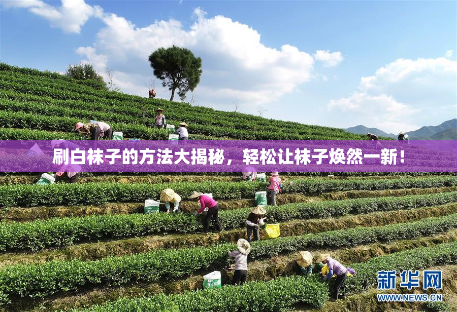 刷白袜子的方法大揭秘，轻松让袜子焕然一新！