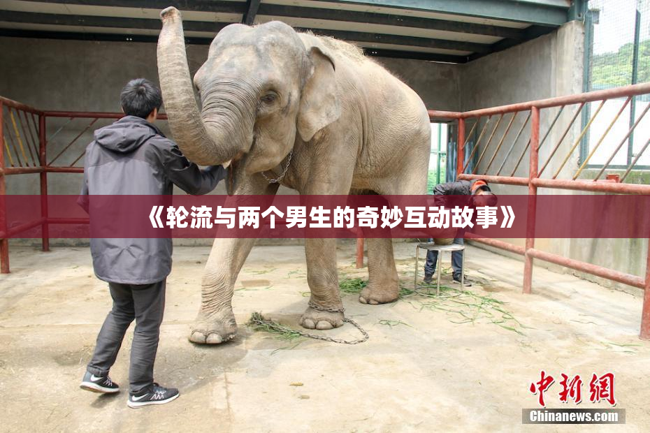 《轮流与两个男生的奇妙互动故事》