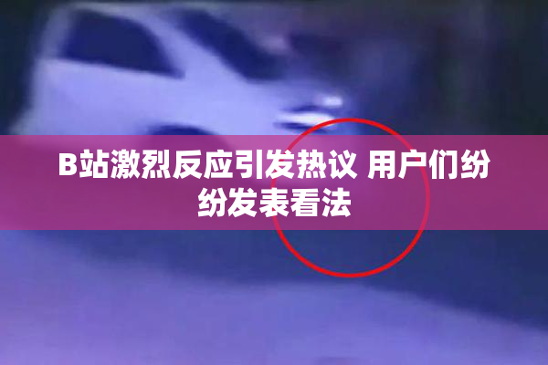 B站激烈反应引发热议 用户们纷纷发表看法