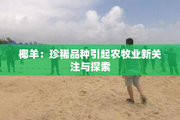 椰羊：珍稀品种引起农牧业新关注与探索