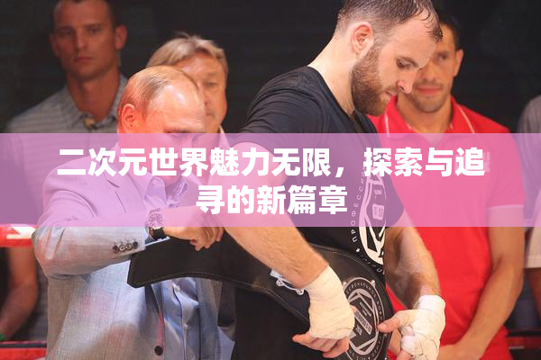 二次元世界魅力无限，探索与追寻的新篇章