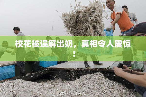 校花被误解出奶，真相令人震惊！