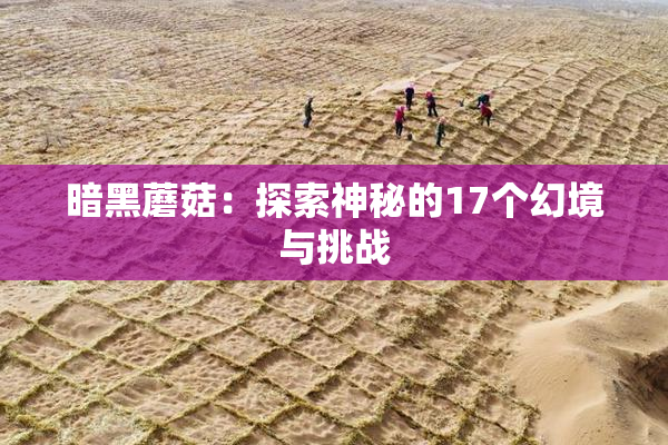 暗黑蘑菇：探索神秘的17个幻境与挑战