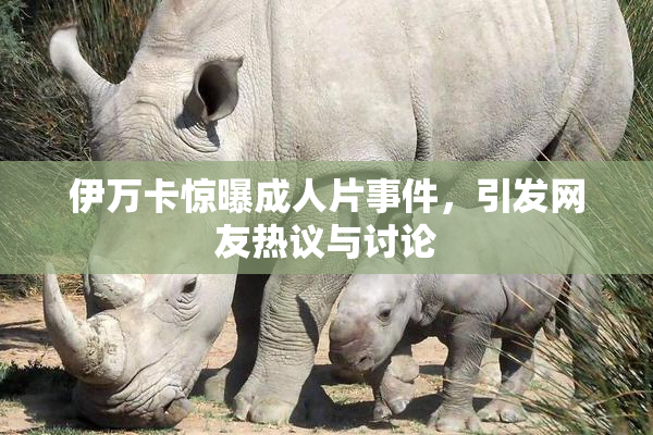 伊万卡惊曝成人片事件，引发网友热议与讨论