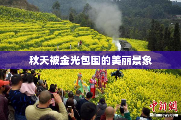 秋天被金光包围的美丽景象