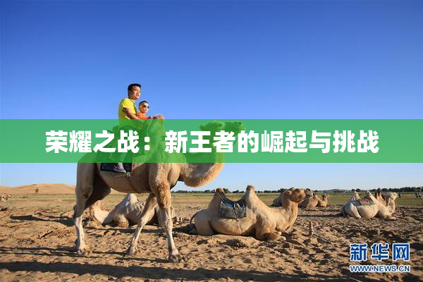 荣耀之战：新王者的崛起与挑战