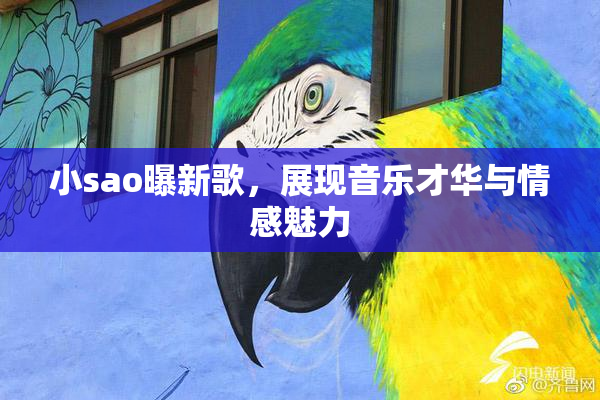 小sao曝新歌，展现音乐才华与情感魅力