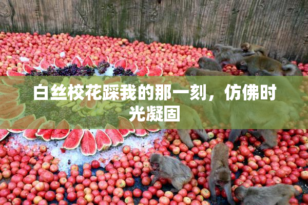 白丝校花踩我的那一刻，仿佛时光凝固