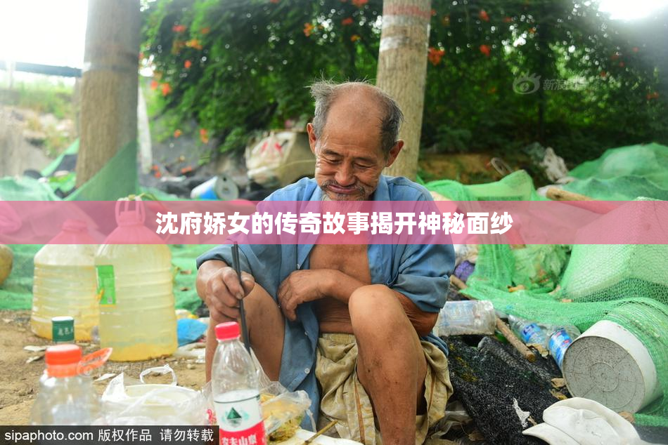 沈府娇女的传奇故事揭开神秘面纱