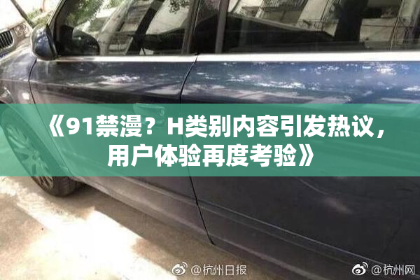 《91禁漫？H类别内容引发热议，用户体验再度考验》
