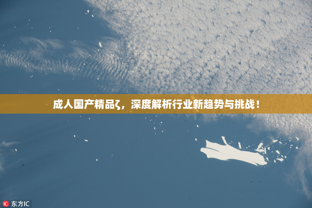 成人国产精品ζ，深度解析行业新趋势与挑战！