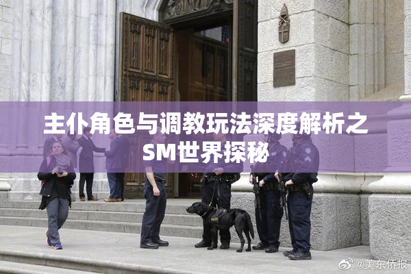 主仆角色与调教玩法深度解析之SM世界探秘