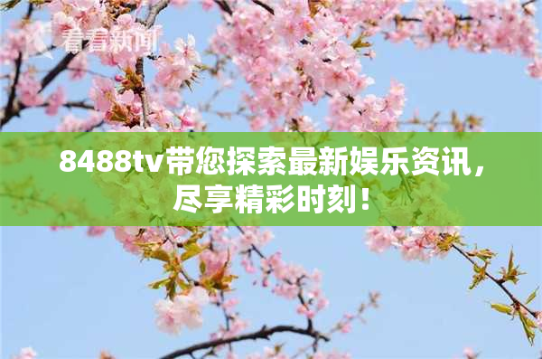 8488tv带您探索最新娱乐资讯，尽享精彩时刻！