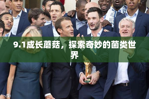 9.1成长蘑菇，探索奇妙的菌类世界
