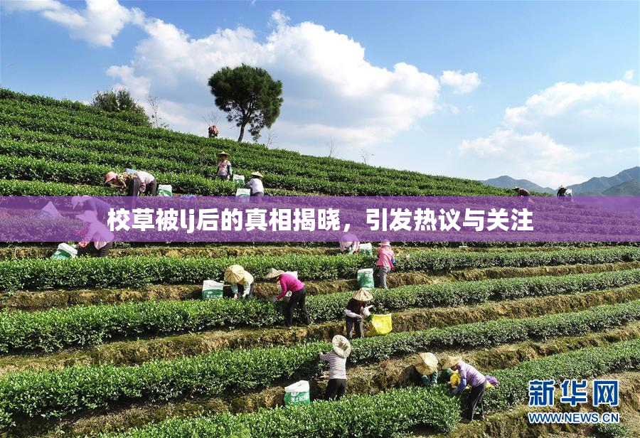 校草被lj后的真相揭晓，引发热议与关注