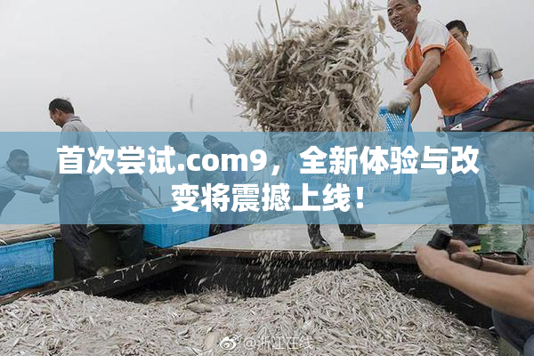 首次尝试.com9，全新体验与改变将震撼上线！