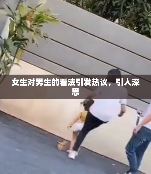 女生对男生的看法引发热议，引人深思