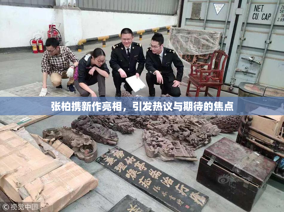 张柏携新作亮相，引发热议与期待的焦点