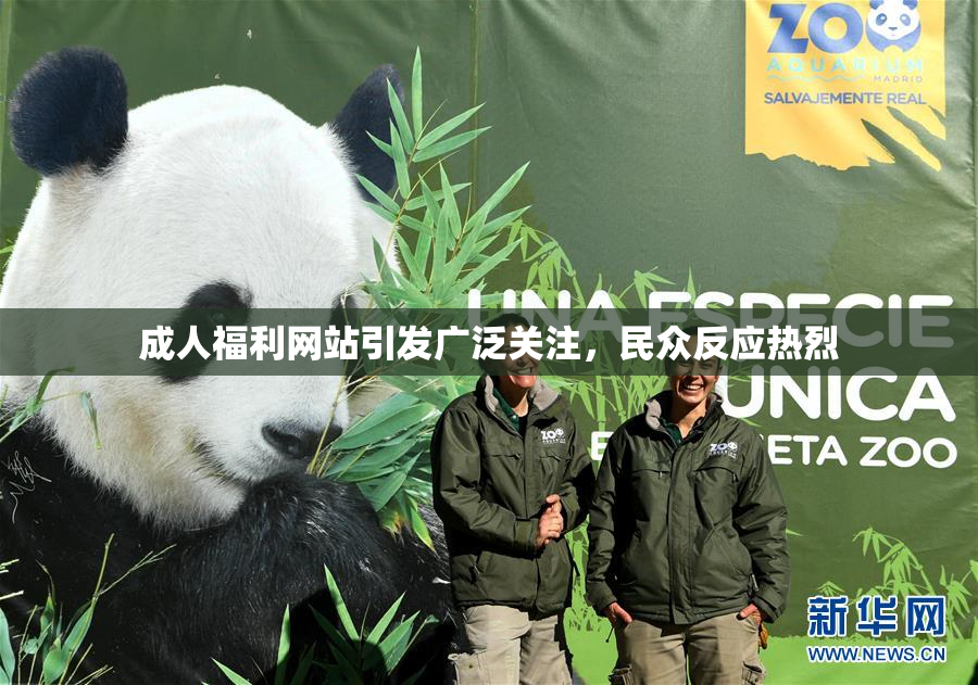 成人福利网站引发广泛关注，民众反应热烈