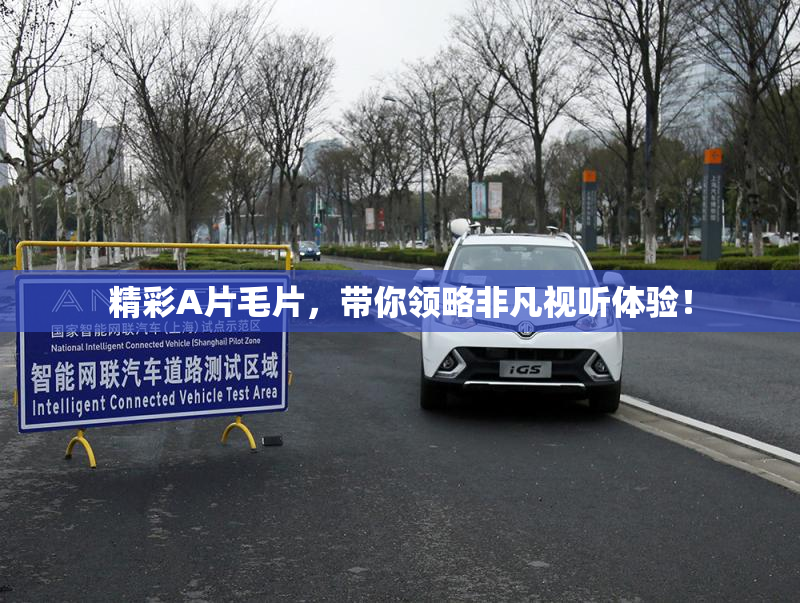 精彩A片毛片，带你领略非凡视听体验！