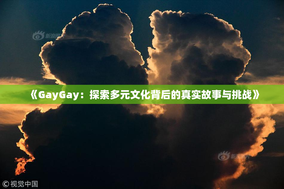 《GayGay：探索多元文化背后的真实故事与挑战》
