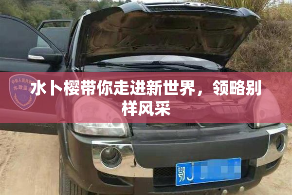 水卜樱带你走进新世界，领略别样风采