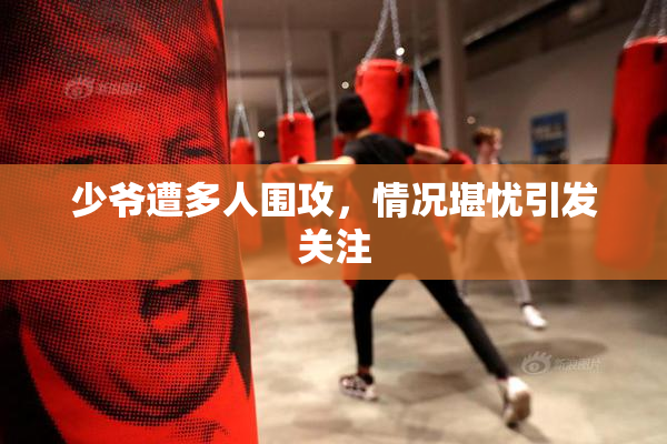 少爷遭多人围攻，情况堪忧引发关注